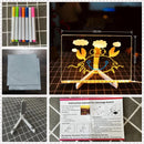 Quadro Board Light Neon 2.0 (BRINDE)